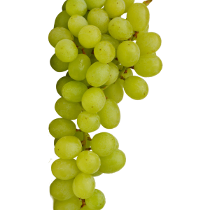uva blanca aledo