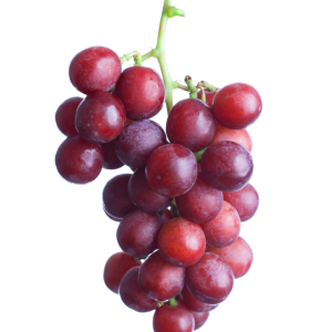 crimson uva roja