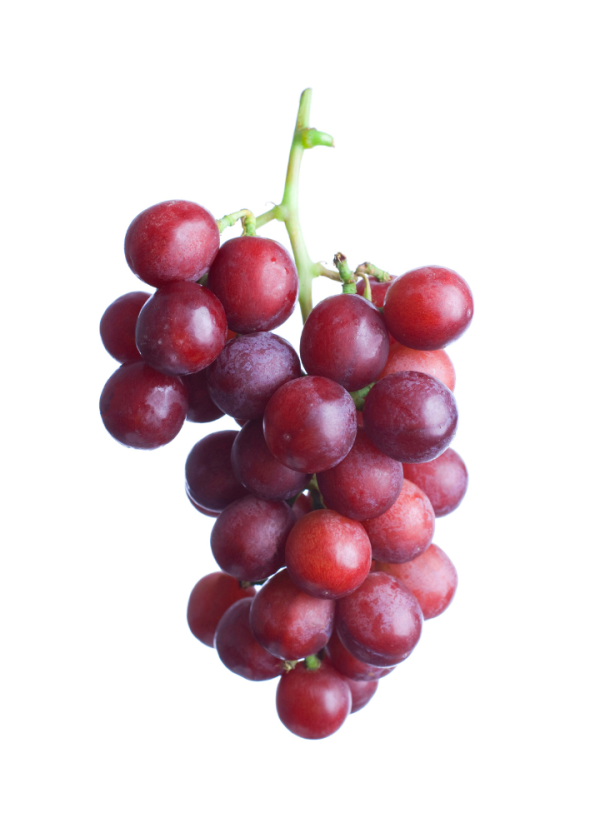 crimson uva roja