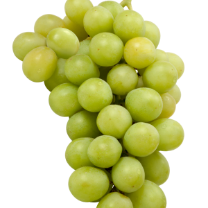 uva dominga blanca