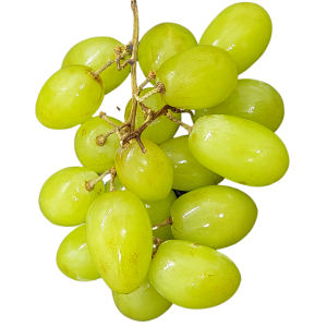 uva blanca maría