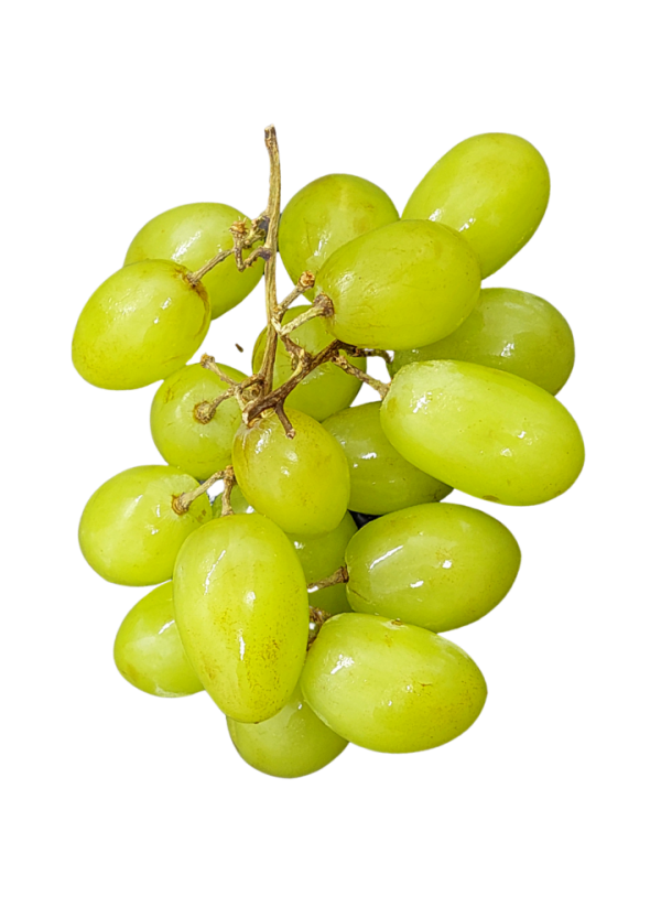 uva blanca maría